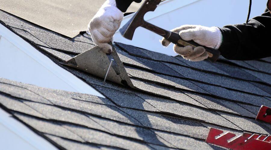 Professional gutter cleaning in Springfield, WV